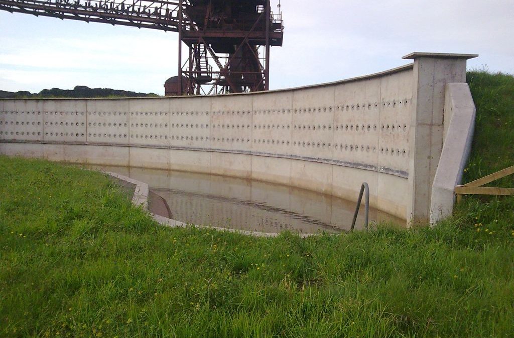 Biodiversity area and Sand Martin Wall
